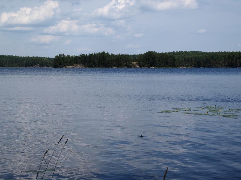 Kuoreksenniemi Villas & Lakehouse Puumala Eksteriør billede