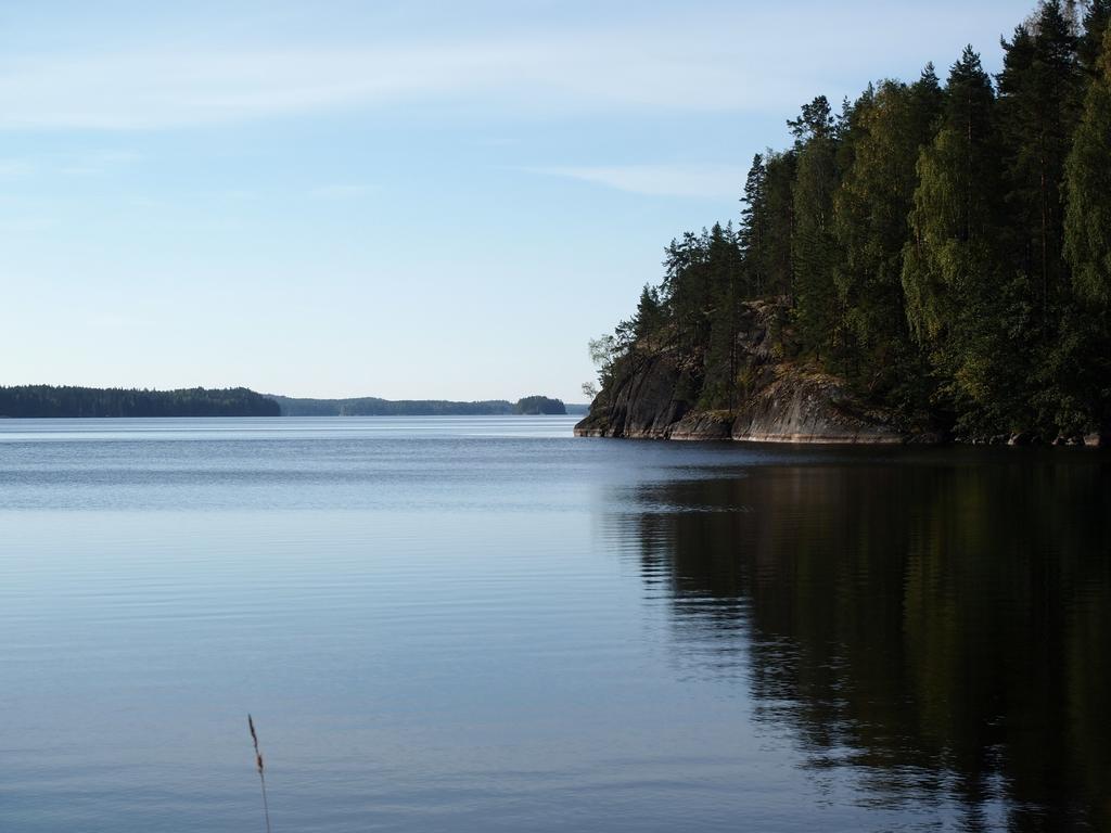 Kuoreksenniemi Villas & Lakehouse Puumala Eksteriør billede