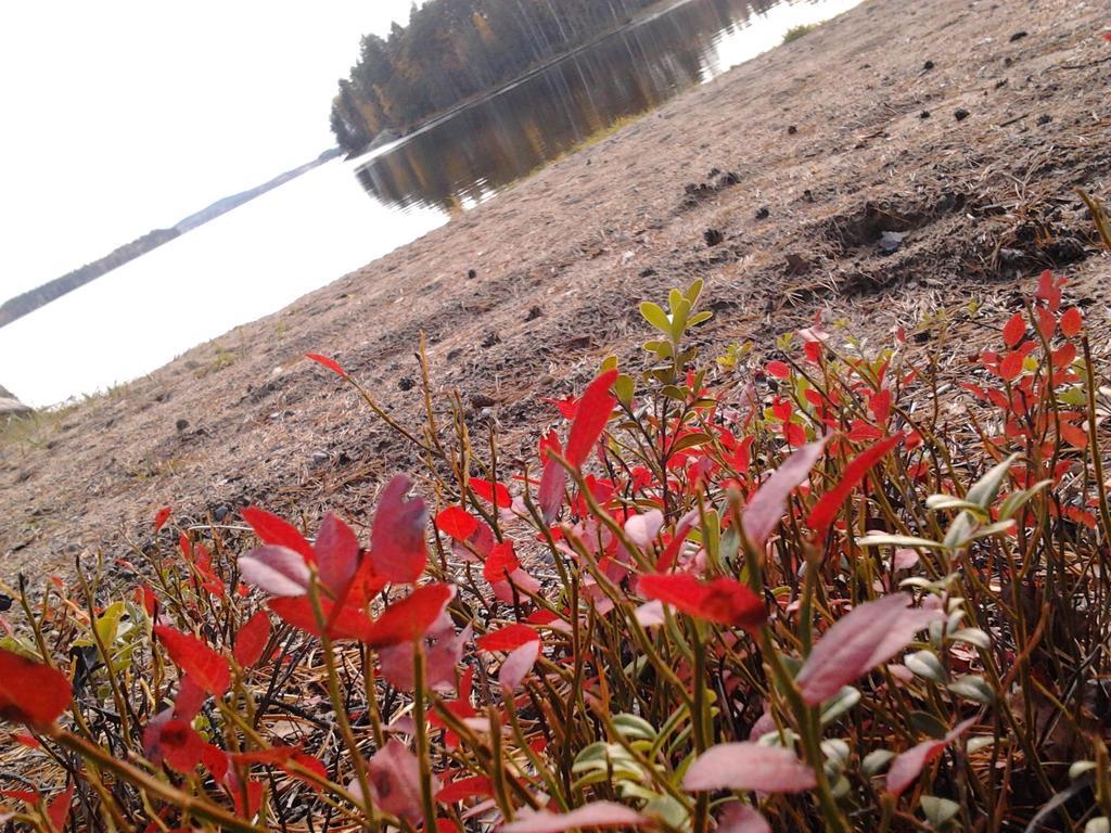 Kuoreksenniemi Villas & Lakehouse Puumala Eksteriør billede