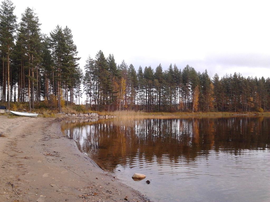 Kuoreksenniemi Villas & Lakehouse Puumala Eksteriør billede